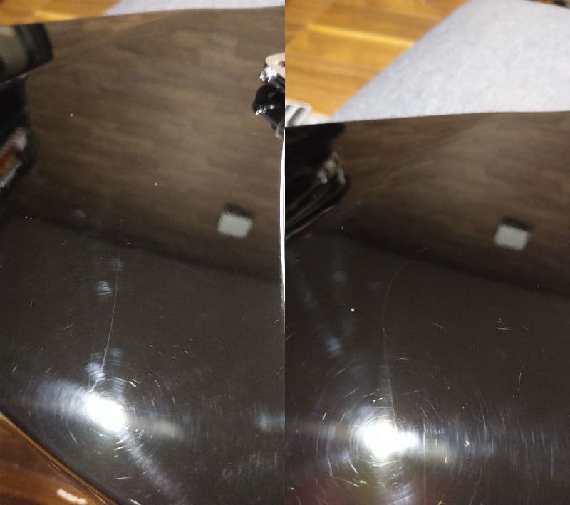 Burny バーニーシャチ FERNANDES