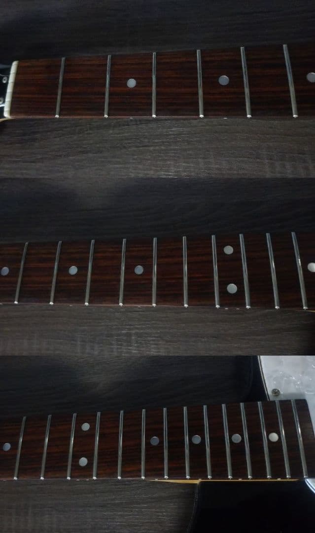 Burny バーニーシャチ FERNANDES