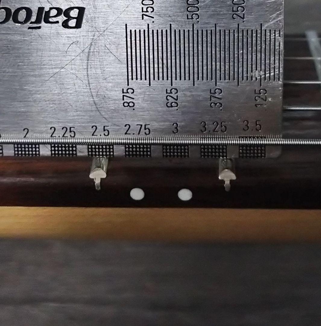 Burny バーニーシャチ FERNANDES