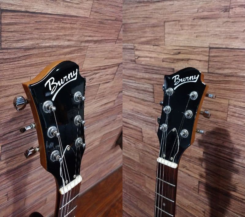 Burny バーニーシャチ FERNANDES