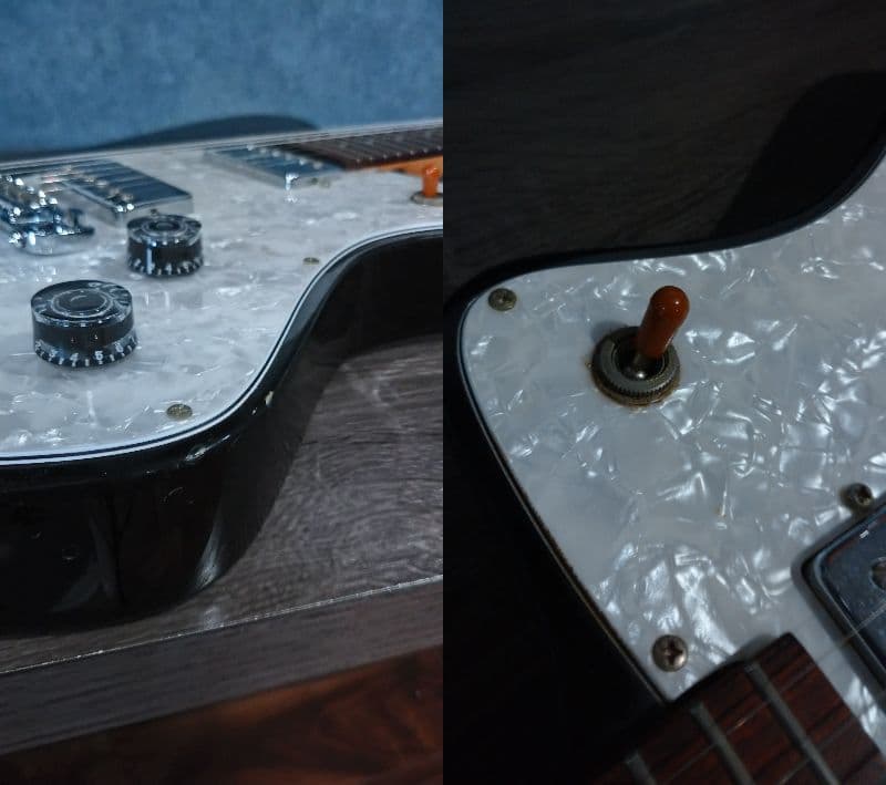 Burny バーニーシャチ FERNANDES