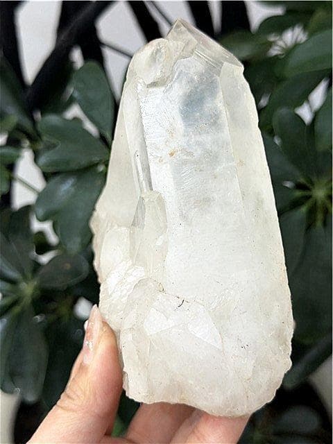 ◆超強いパワーヒマラヤ産天然水晶クラスターYT10B6/148B31A
