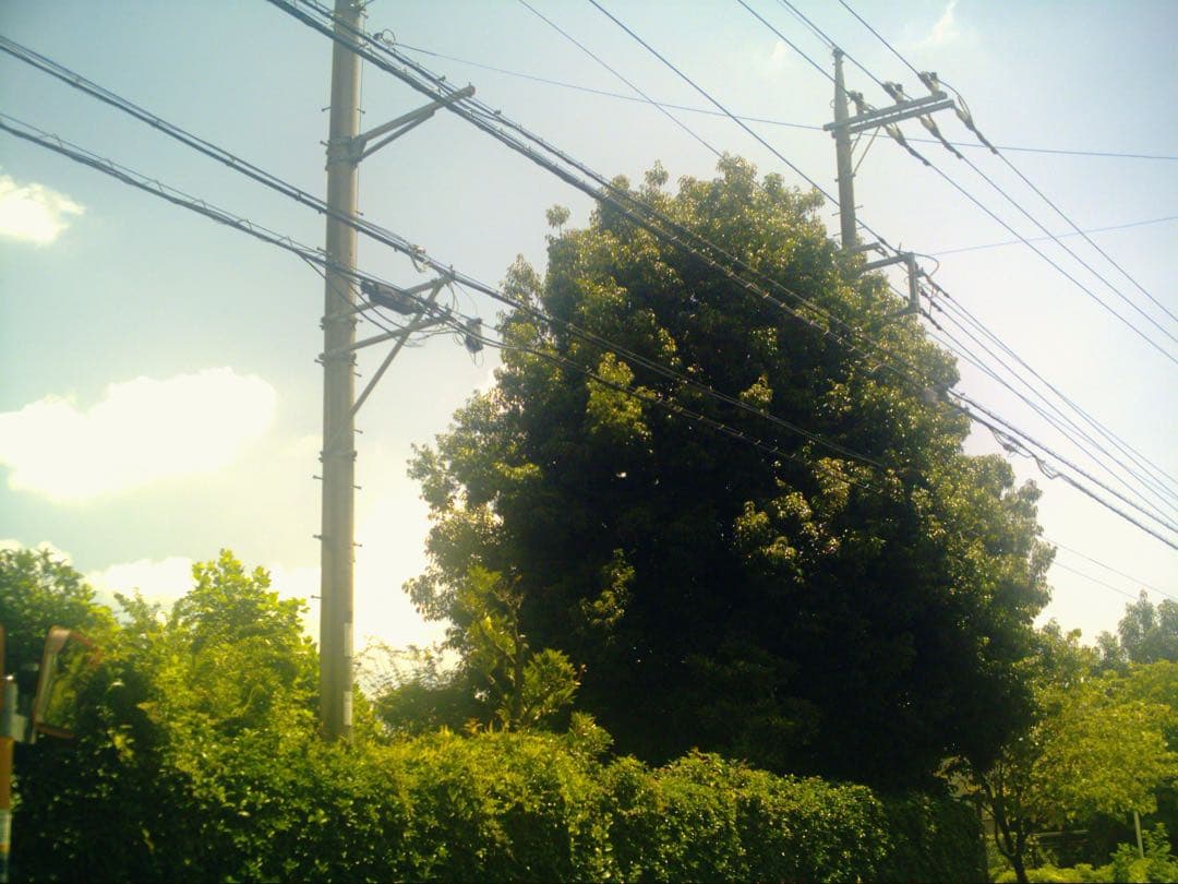 トイデジ　AVOX ADSS-02XS