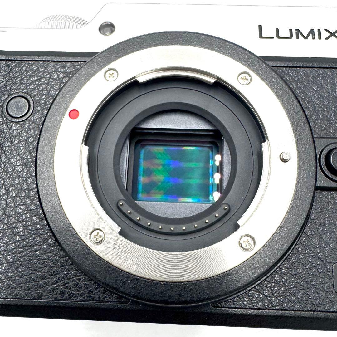 美品 Panasonic LUMIX DMC-GX8ミラーレス一眼 シルバー
