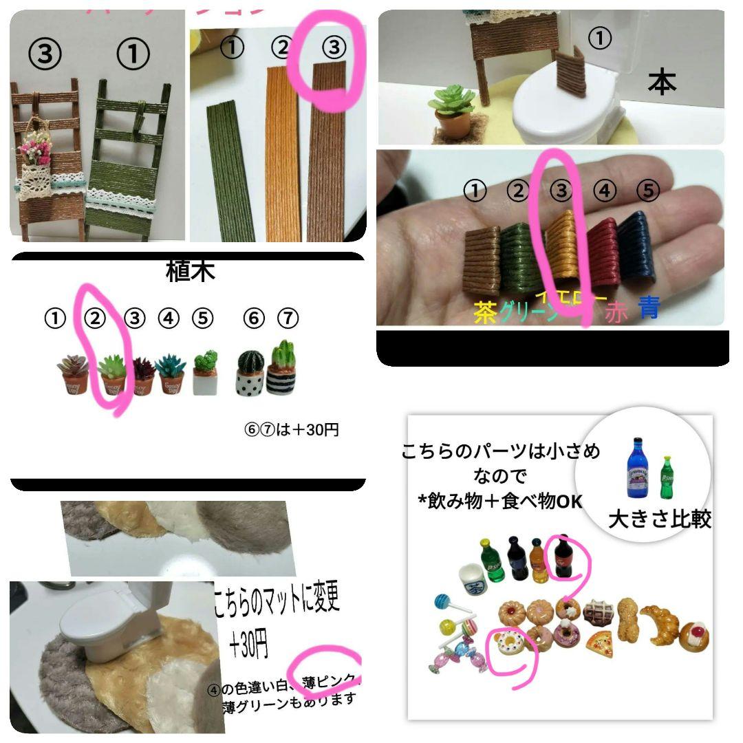 【1名様募集】羊毛フェルト インコちゃんオーダーページ ①