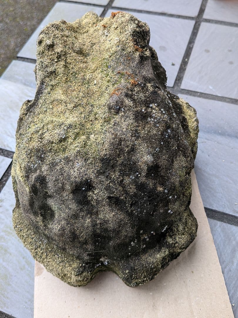 海外コレクター向き明治時代〜昭和戦前期頃蛙苔むした全長２３センチ重さ５キロ飾置物