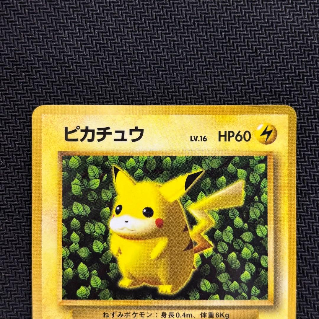 ポケモンカード　ピカチュウ　旧裏　光沢あり　誤表記　ken sugimori