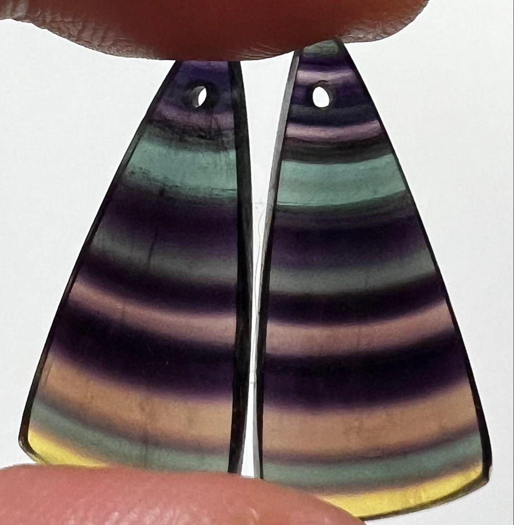 ポメころび様❤️ サージカルフープイヤリング