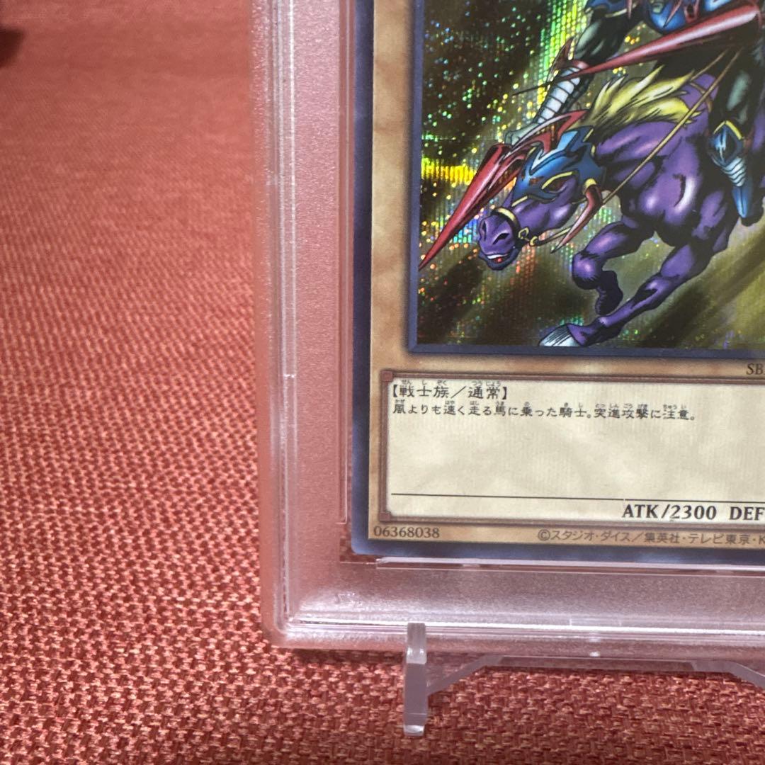 暗黒騎士ガイア　ブルシク　PSA10