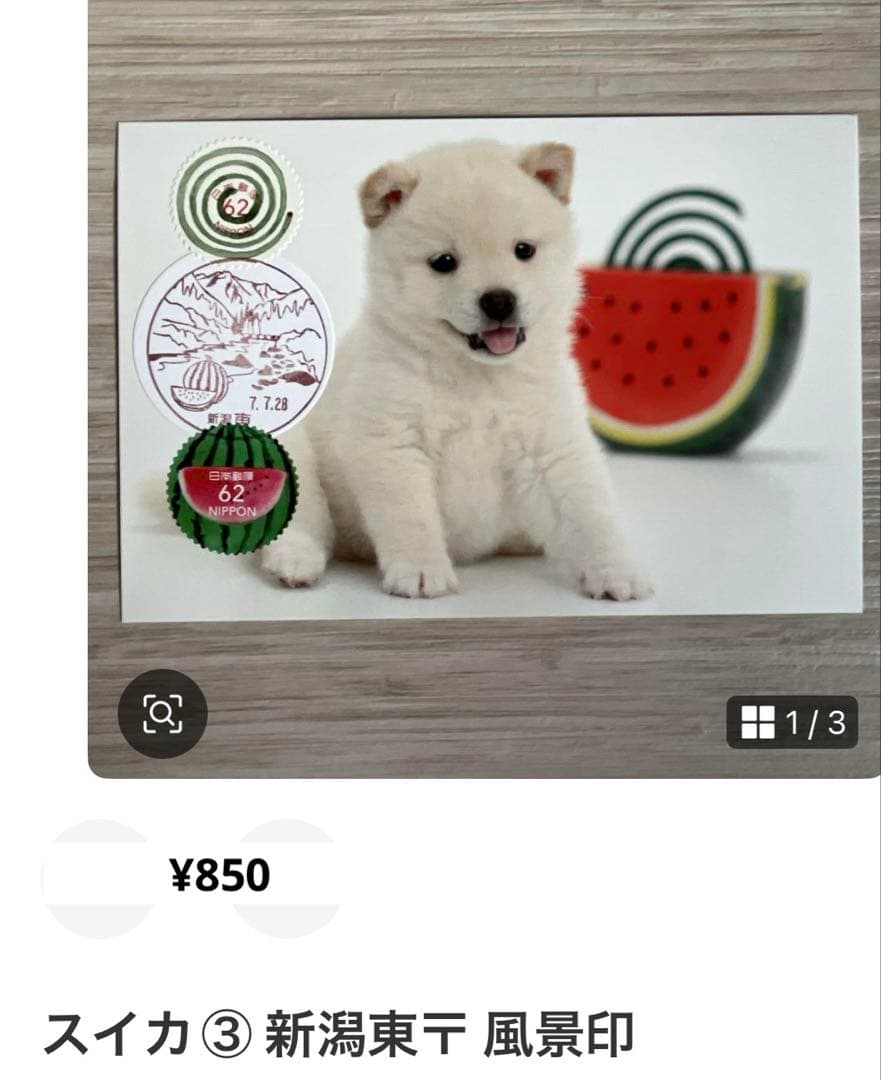 Jyunko829