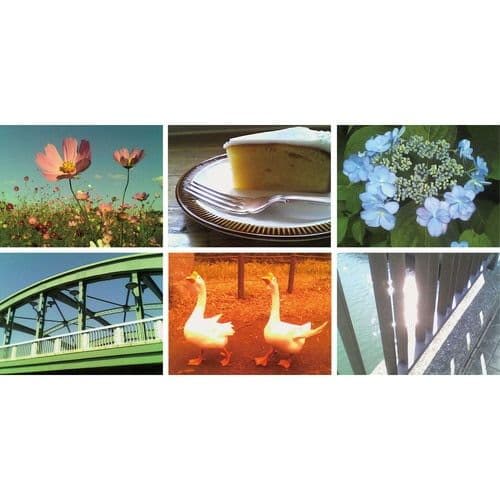 ベイマックス トイカメラ ディズニーキャラクター