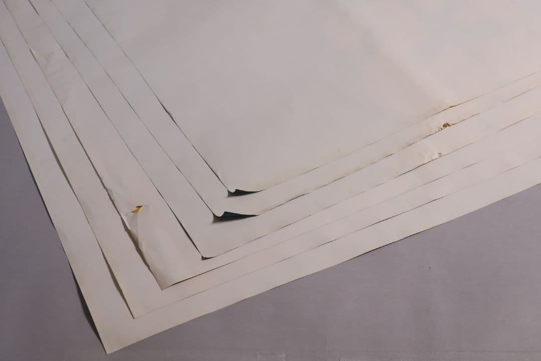 【CM114】B1判 映画ポスター 2種6枚まとめ 3組「テンタクルズ」洋画