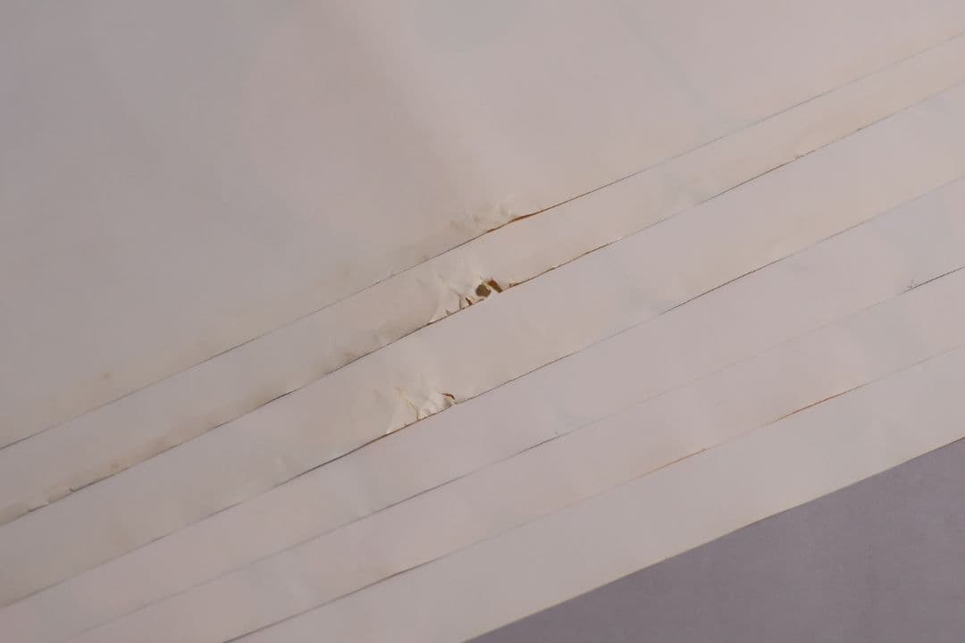 【CM114】B1判 映画ポスター 2種6枚まとめ 3組「テンタクルズ」洋画