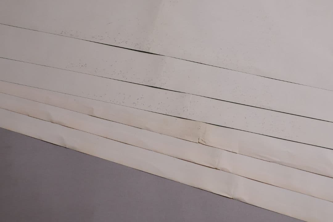 【CM114】B1判 映画ポスター 2種6枚まとめ 3組「テンタクルズ」洋画