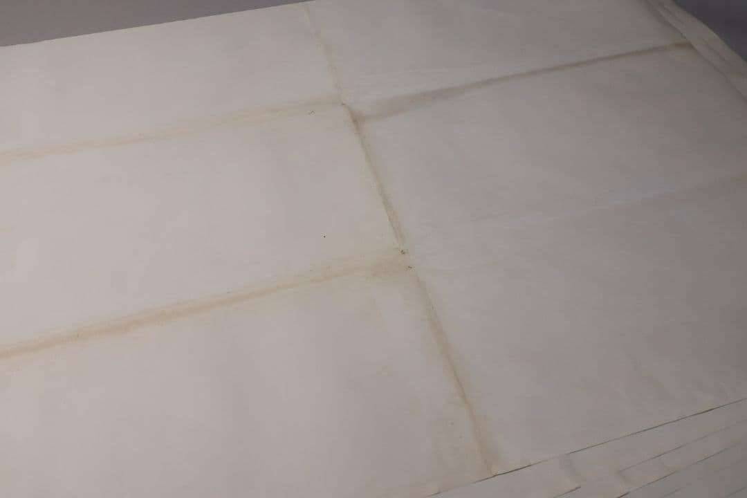 【CM114】B1判 映画ポスター 2種6枚まとめ 3組「テンタクルズ」洋画