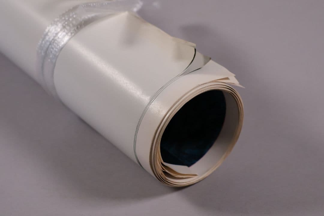 【CM114】B1判 映画ポスター 2種6枚まとめ 3組「テンタクルズ」洋画