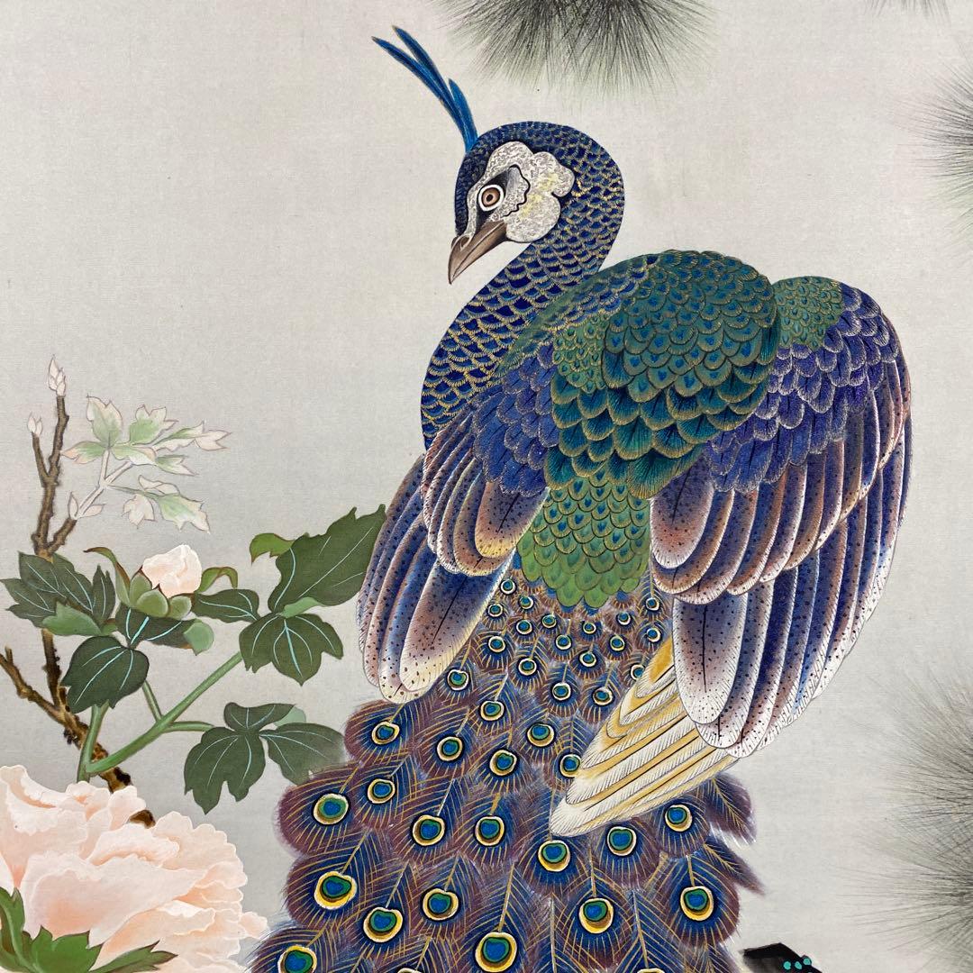 美品 掛け軸 大幅 歓喜光孔雀ニ牡丹図 共箱 縁起物 花鳥