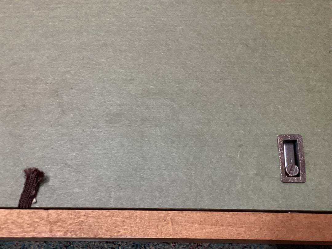 太尾芳生（ふとお　よしお）　紅椿　日本画　額入り　美品　希少品