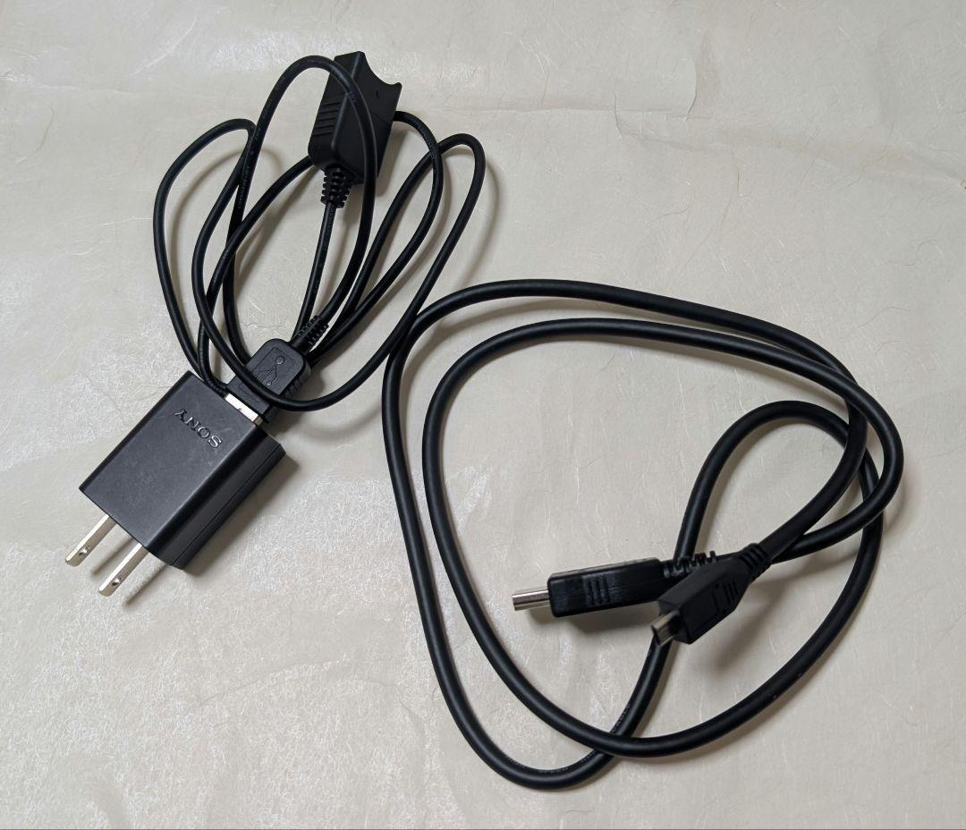 【こか】SONY HDR-CX470 ブラック おまけケース付