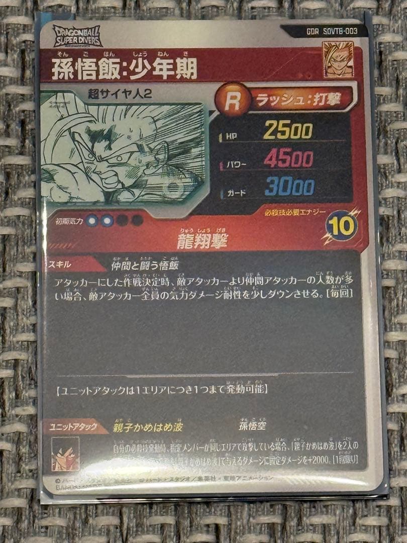 SDV 9ポケットバインダー 特典セット