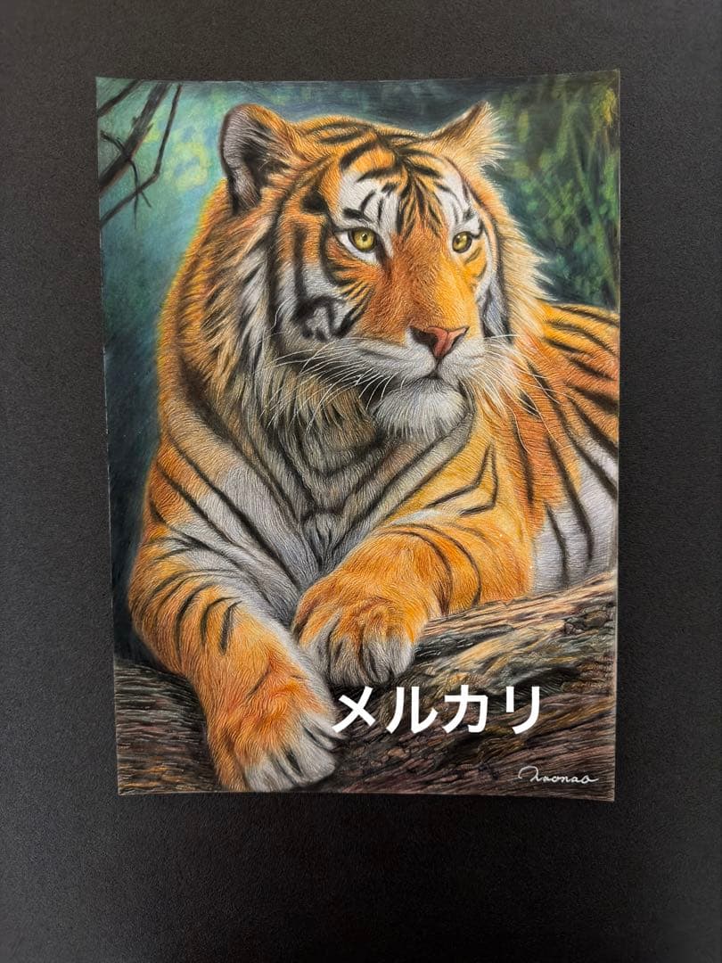 色鉛筆画A4 虎.23