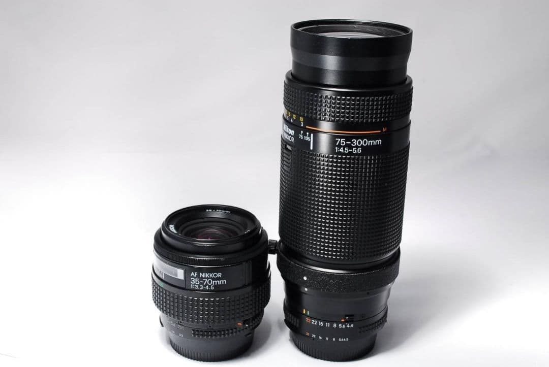 ♥標準＋超望遠Wレンズ♥Nikon D80♥CCDセンサー搭載♥遠近対応