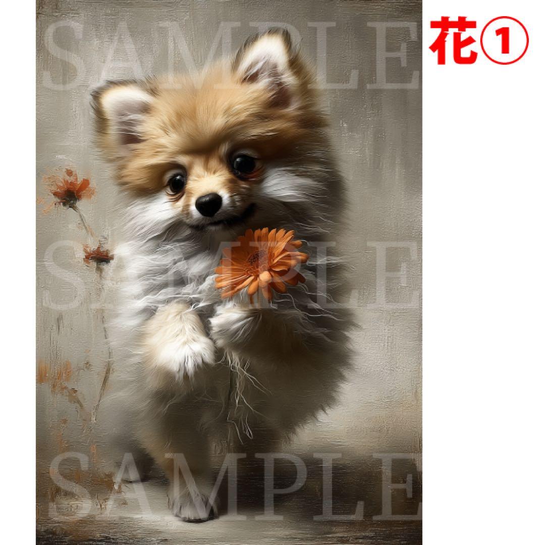 ころろん様リクエスト ポメラニアン 8枚セット A5サイズ