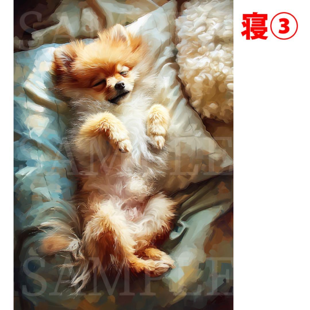 ころろん様リクエスト ポメラニアン 8枚セット A5サイズ