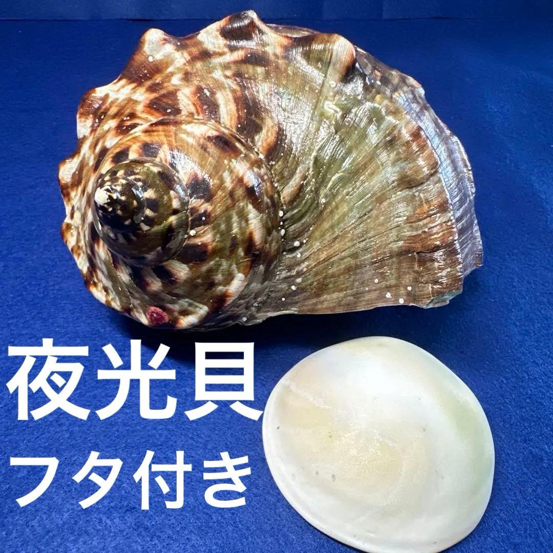 sariii♡様 リクエスト 3点 まとめ商品