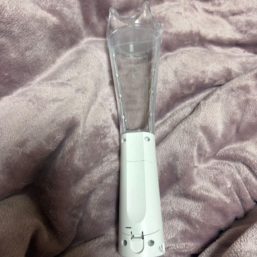 R*N様 嵐 We are ARASHI ペンライト 2026