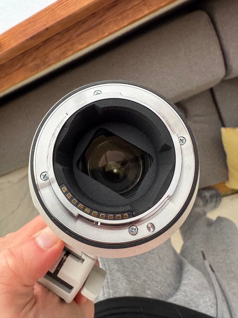 レンズ(ズーム) Sony FE 200-600mm F5.6-6.3 G OSS