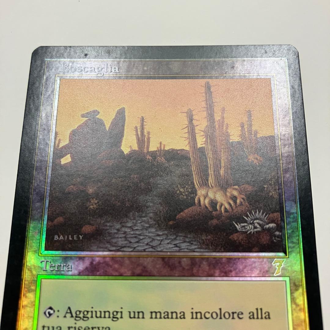 MTG 低木林地 イタリア語版 1枚 foil 7ED