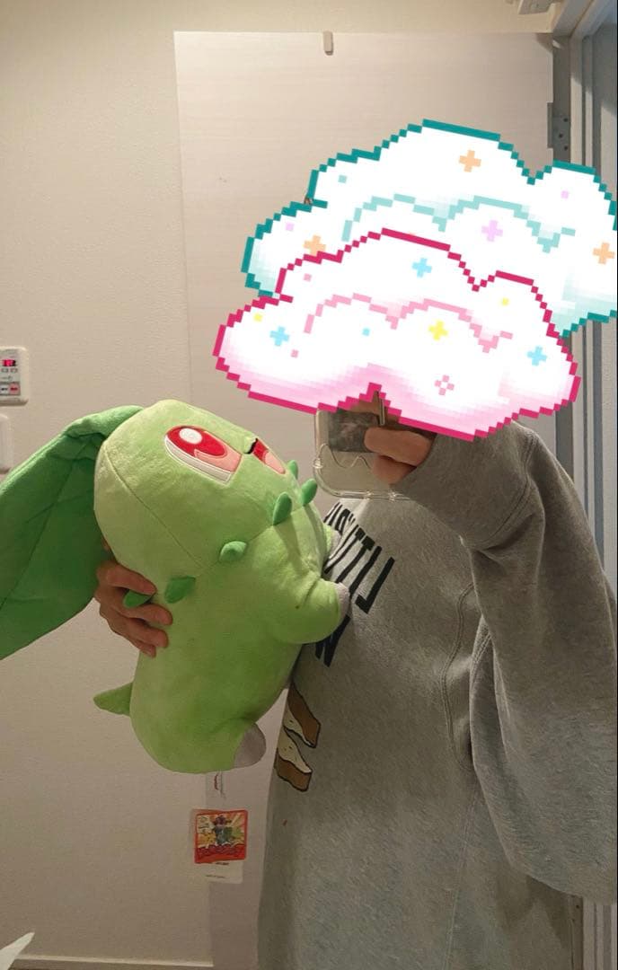 ポケットモンスター チコリータ 等身大 ぬいぐるみ 連れ歩き ポケパーク