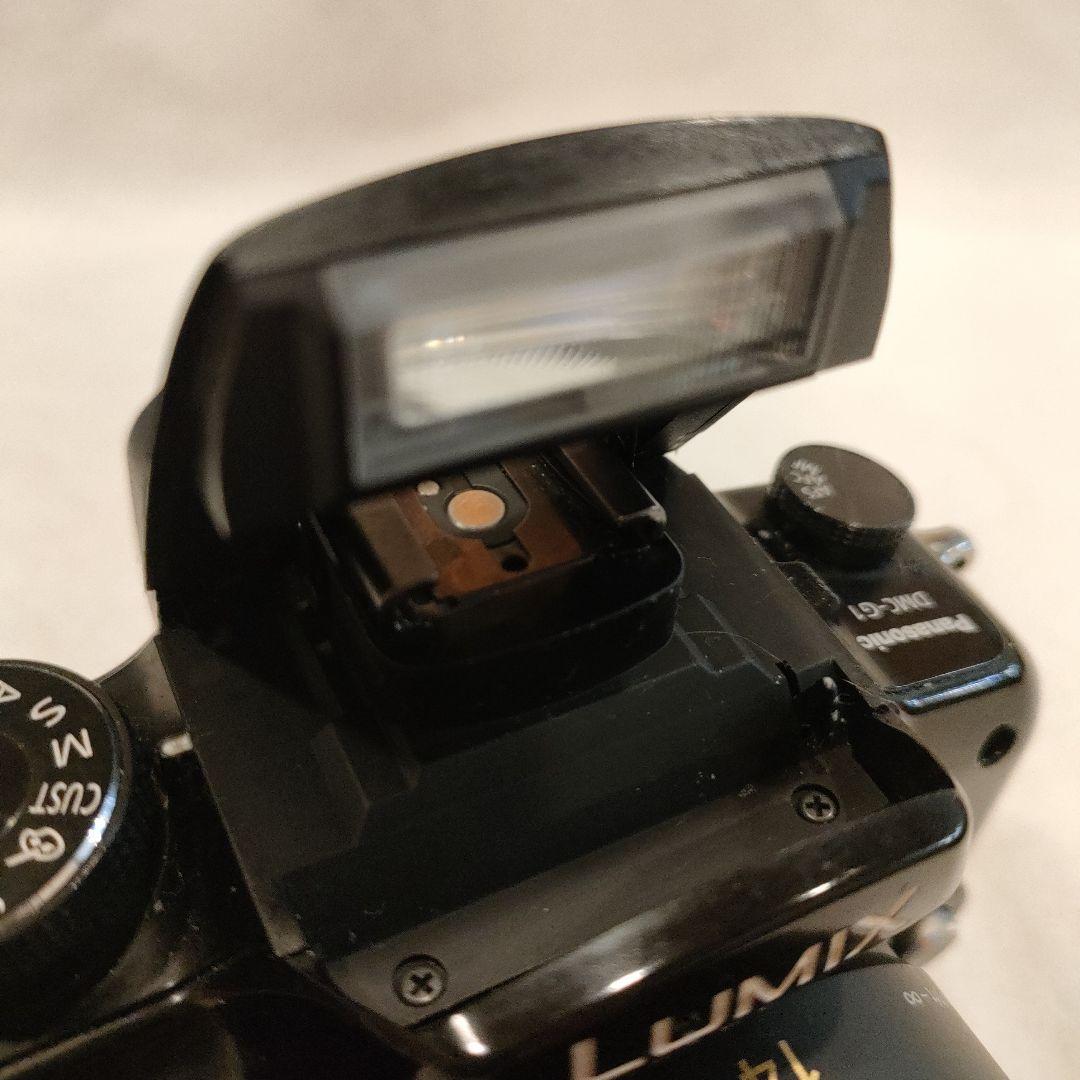 LUMIX DMC-G1 黒。デジタル一眼カメラ ボディ ミラーレス。