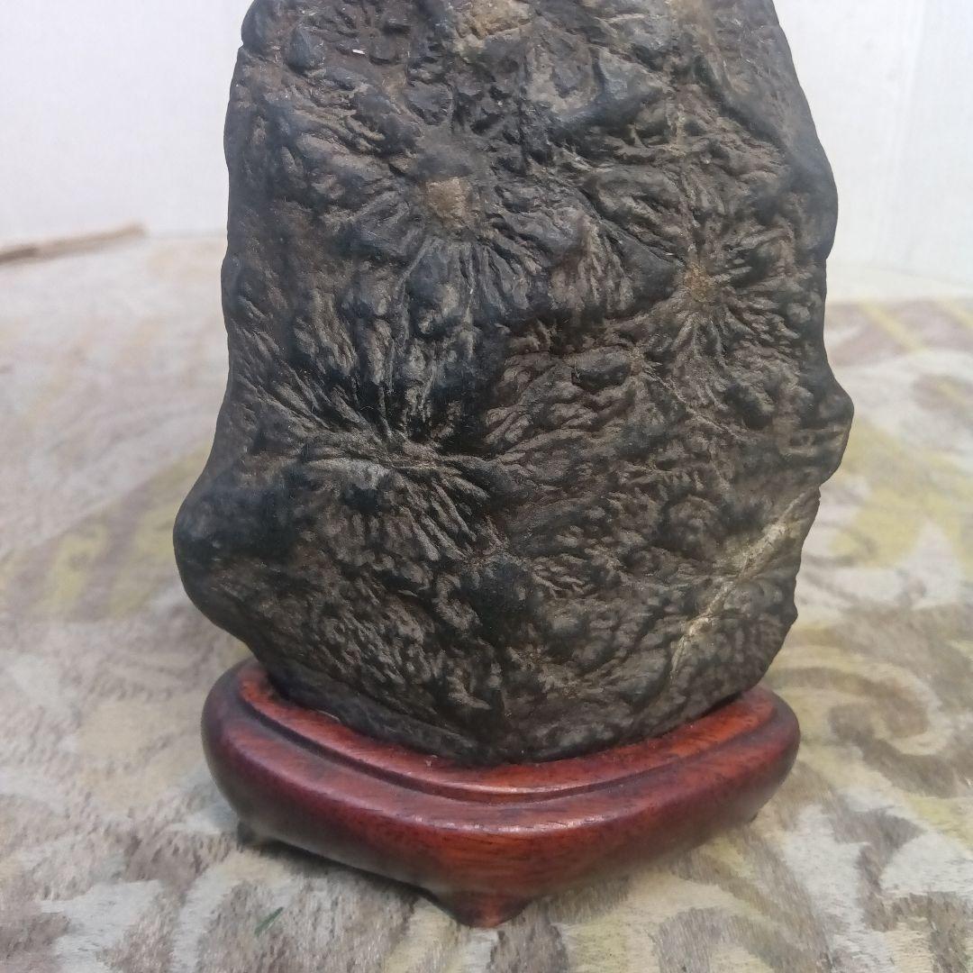 天然鉱物水石菊花石模様