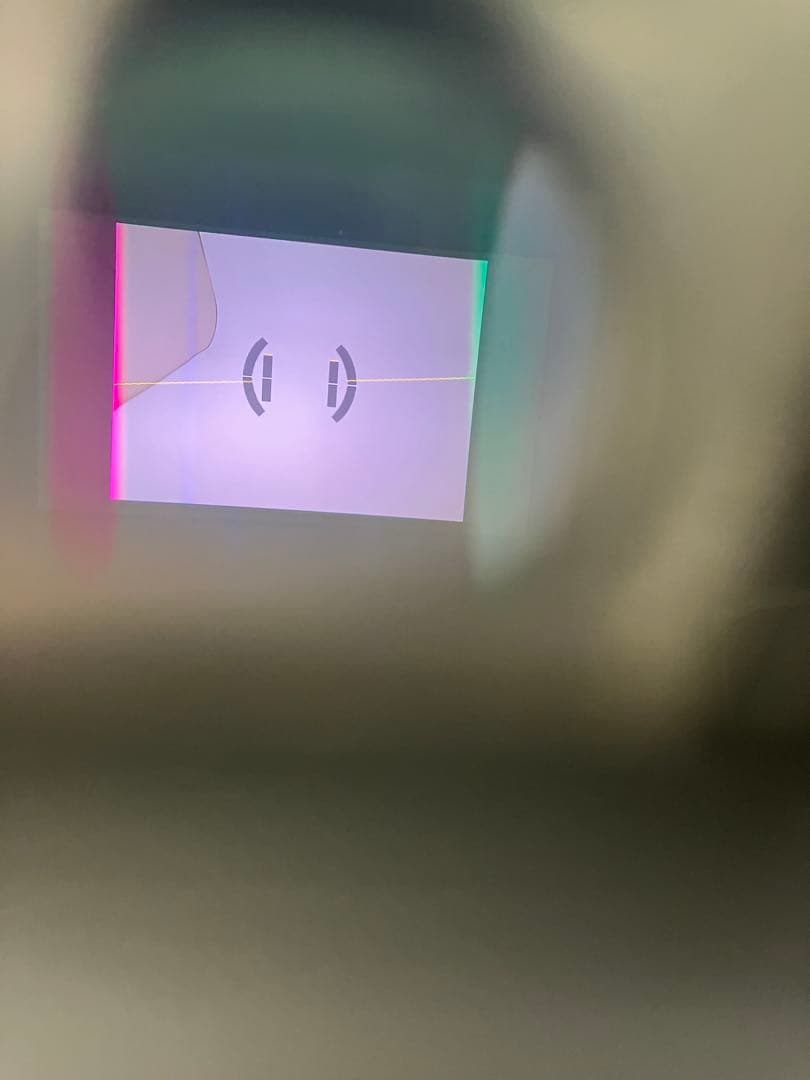 【返品保証・動作確認済】Panasonic LUMIX DMC-LX100