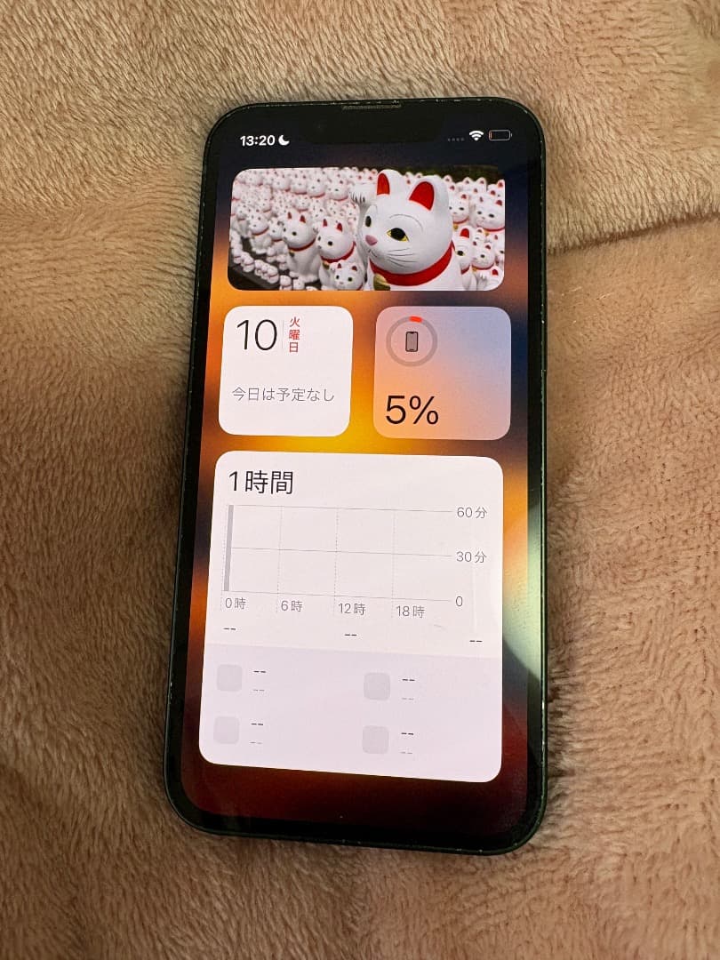 Apple iPhone 13 Mini 128GB グリーン 本体+ケース