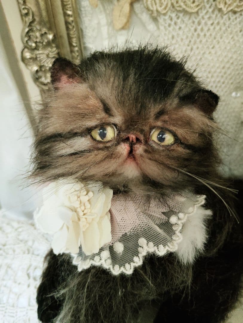 生後３ヶ月♡ペルシャ子猫ちゃん♡アートドール♡ぬいぐるみ♡