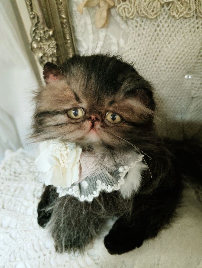 生後３ヶ月♡ペルシャ子猫ちゃん♡アートドール♡ぬいぐるみ♡