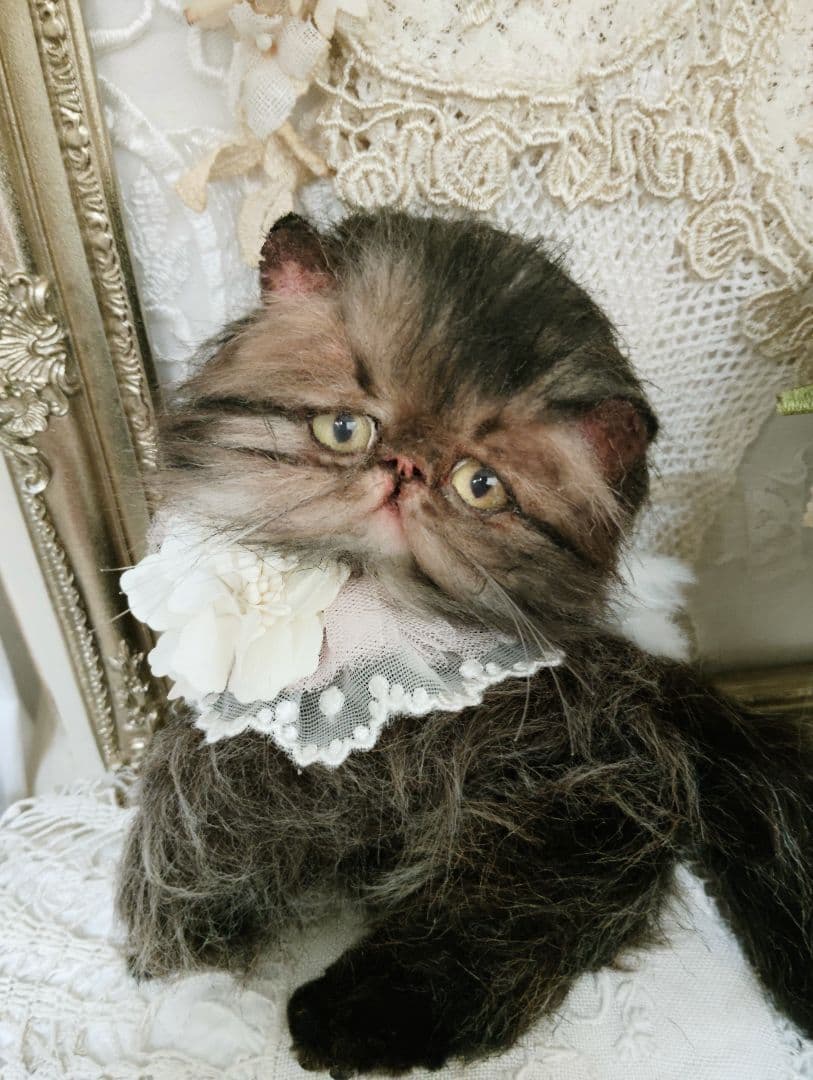 生後３ヶ月♡ペルシャ子猫ちゃん♡アートドール♡ぬいぐるみ♡