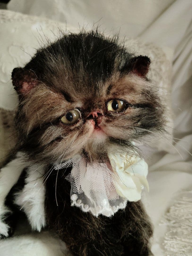 生後３ヶ月♡ペルシャ子猫ちゃん♡アートドール♡ぬいぐるみ♡