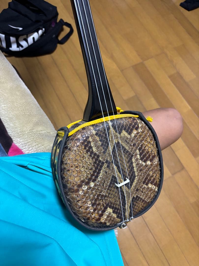 ヘビ皮 三線 3弦 本体