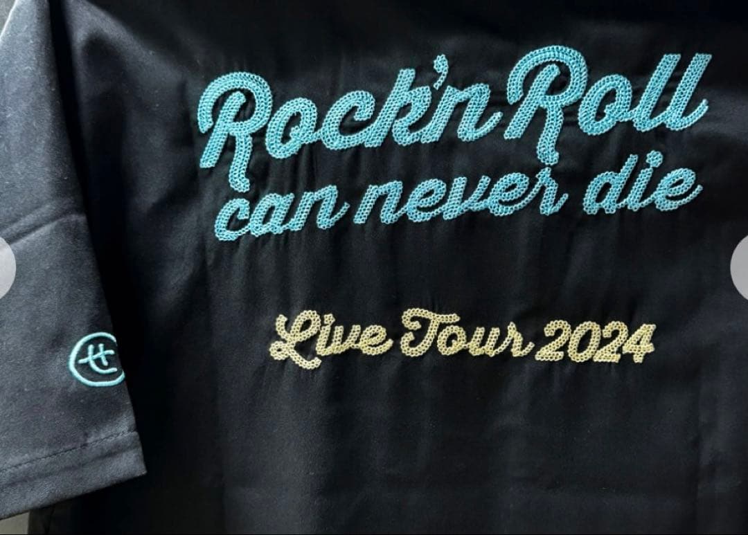 値引！斉藤和義 ROCK'N ROLL CAN NEVER DIEワークシャツS