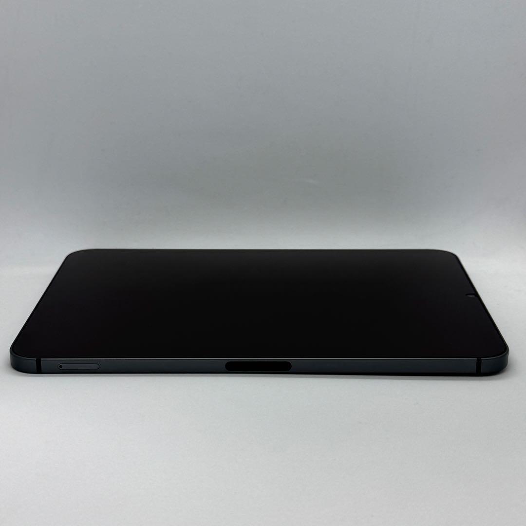 iPad本体 iPad mini6 256GB Cellular + Apple Pencil
