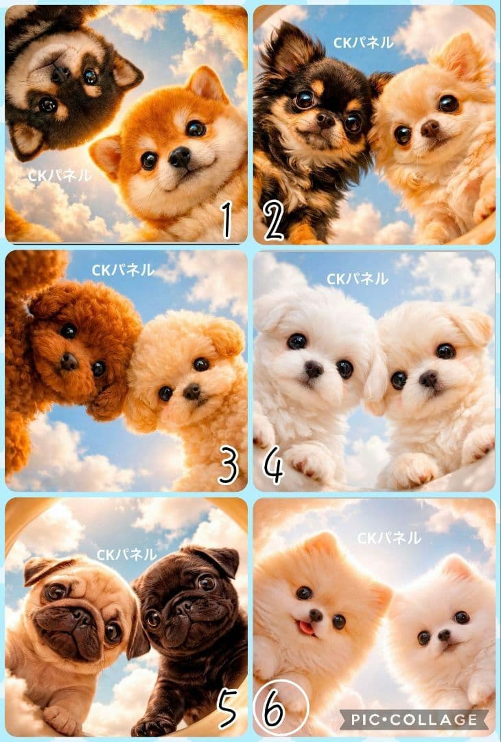 【4月】Guri