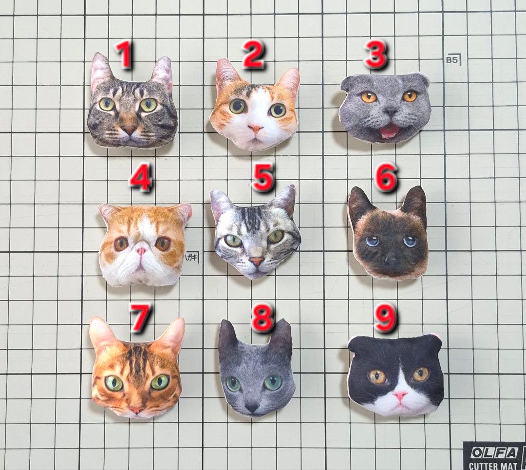 ねこクッション確認用