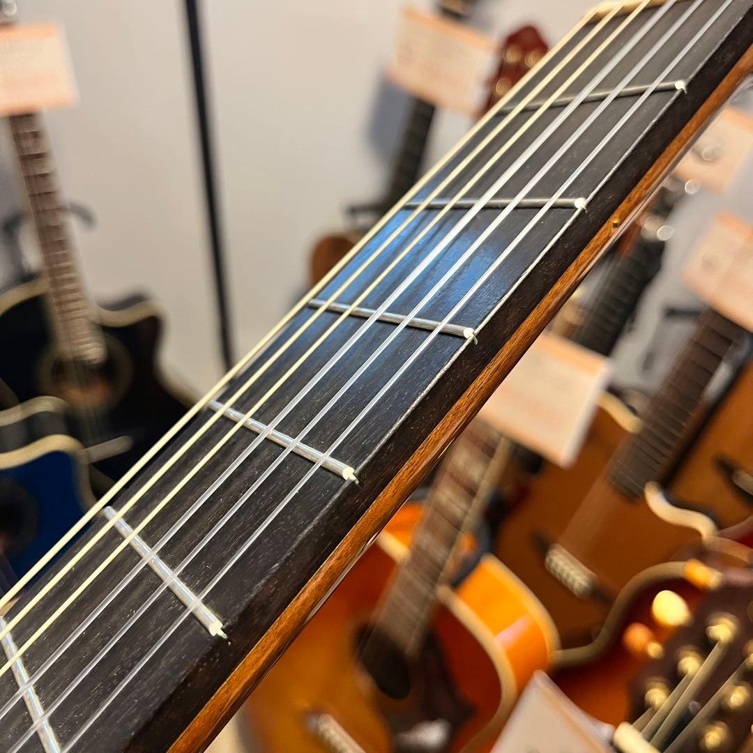 【10990】 Takamine エレアコ マカフェリ NPT-315