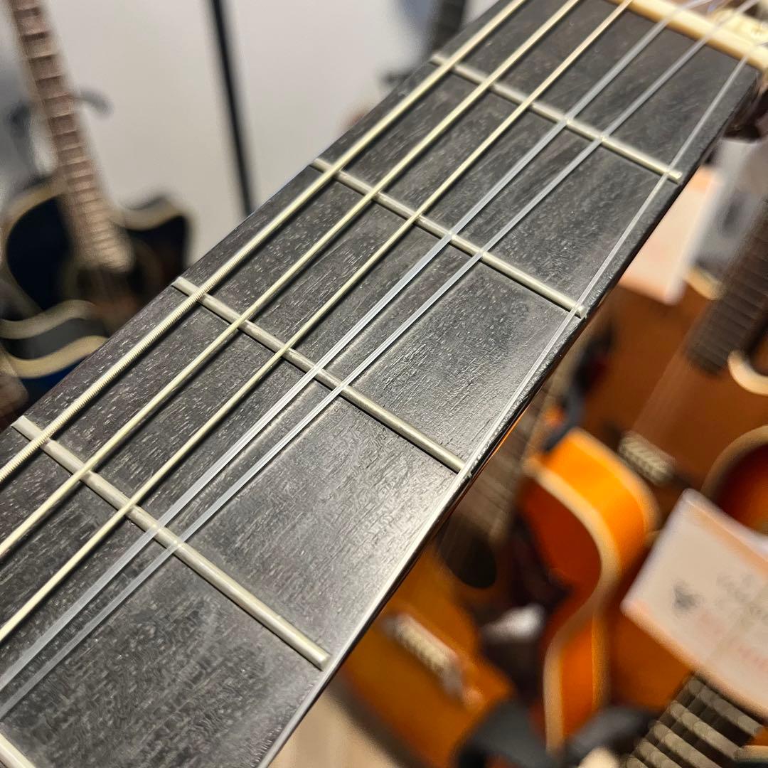 【10990】 Takamine エレアコ マカフェリ NPT-315