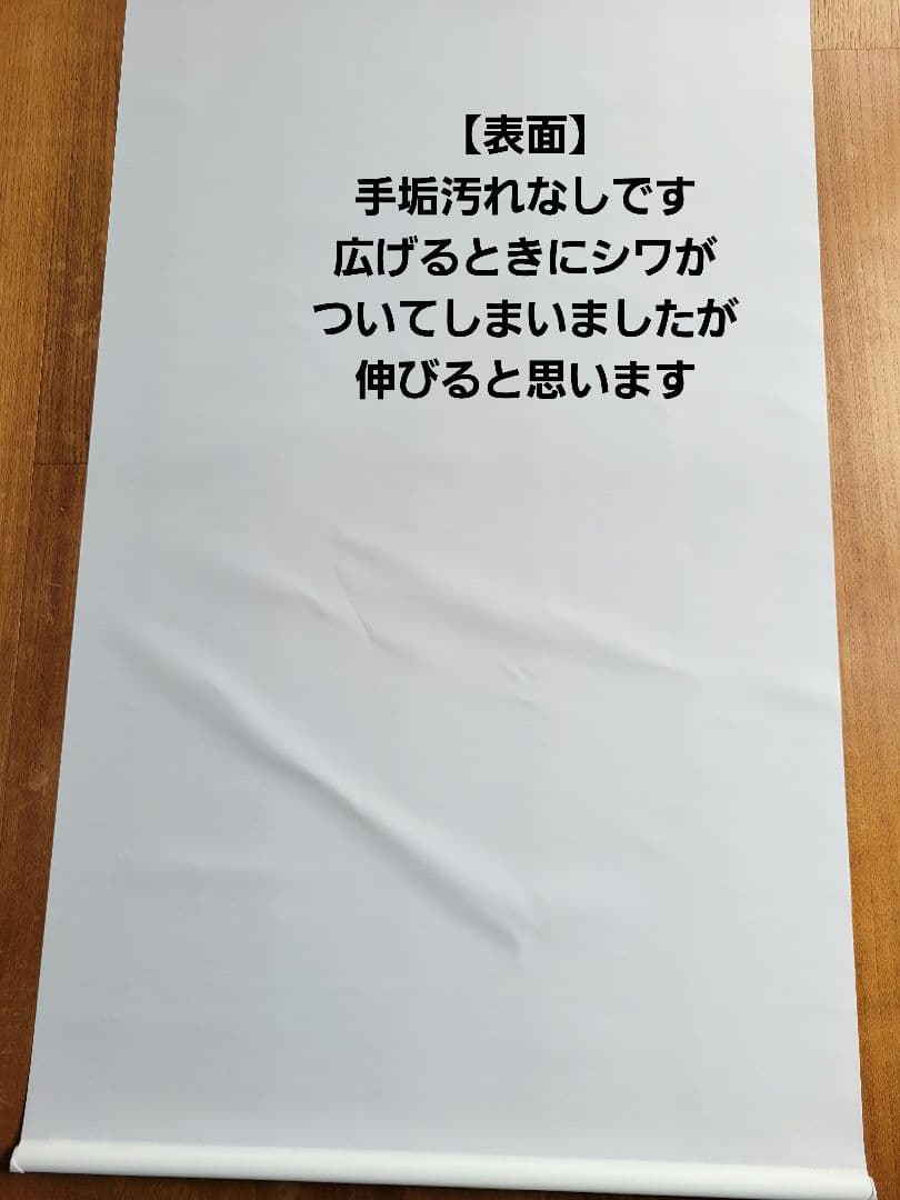 【美品】タチカワブラインド★ロールスクリーン ラルク浴室チェーン式★説明書