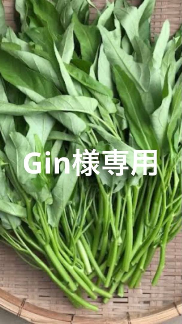 Gin空芯菜3キロ
